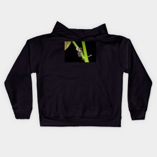 Unique and organic photo of a swarm of ants tending a treehopper Kids Hoodie